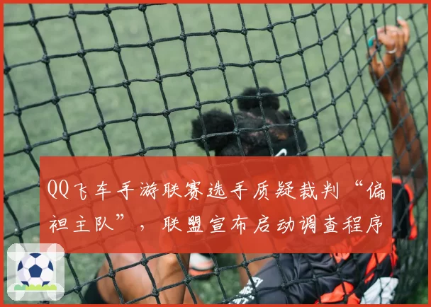QQ飞车手游联赛选手质疑裁判“偏袒主队”，联盟宣布启动调查程序