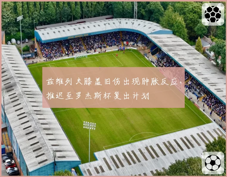 兹维列夫膝盖旧伤出现肿胀反应,推迟至罗杰斯杯复出计划
