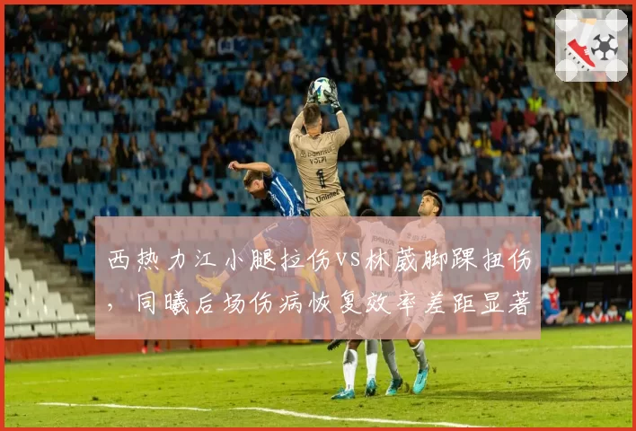 西热力江小腿拉伤vs林葳脚踝扭伤，同曦后场伤病恢复效率差距显著